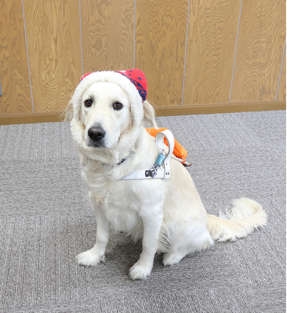 関西盲導犬協会への寄付